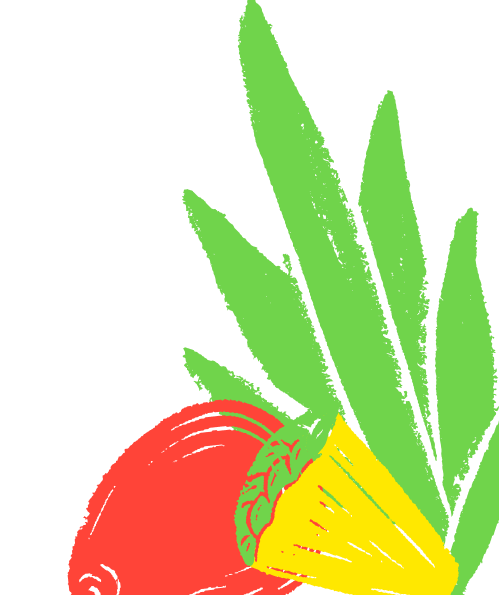 Image Asset of Party Cats Tropical Punch