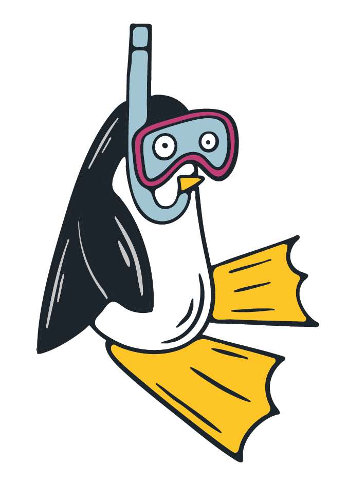 Descriptor Card Image Asset